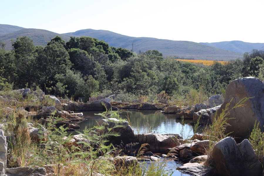 0 Bedroom Property for Sale in Haarlem Western Cape